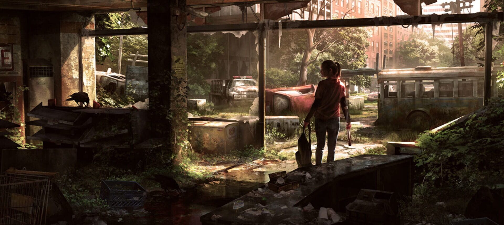 Visuel de The Last of Us